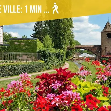 Harmony Vintage - Quartier Calme - Centre-ville - Gare 3 Min * Haguenau