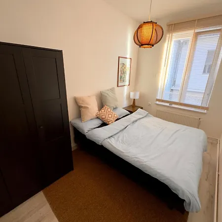 Harmony Vintage - Quartier Calme - Centre-ville - Gare 3 Min * Haguenau