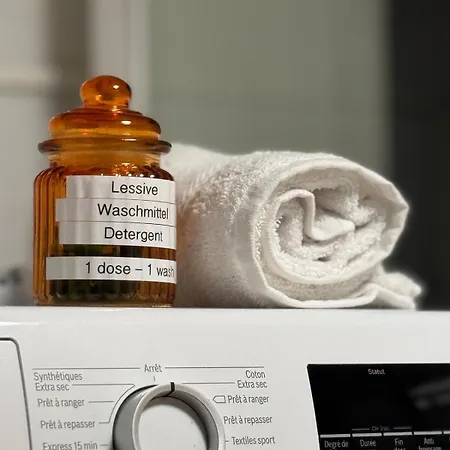 Harmony Vintage - Quartier Calme - Centre-ville - Gare 3 Min * Haguenau