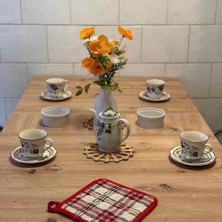 Apartman Harmony Vintage - Quartier Calme - Centre-ville - Gare 3 Min Haguenau