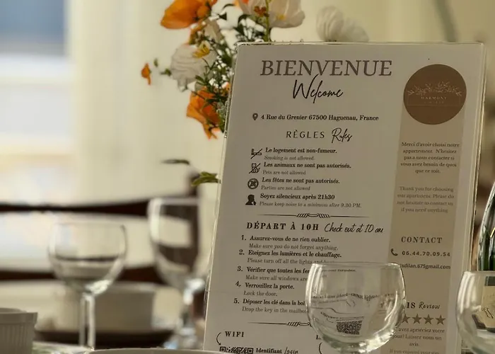 아파트 Harmony Vintage - Quartier Calme - Centre-ville - Gare 3 Min 헤게나우